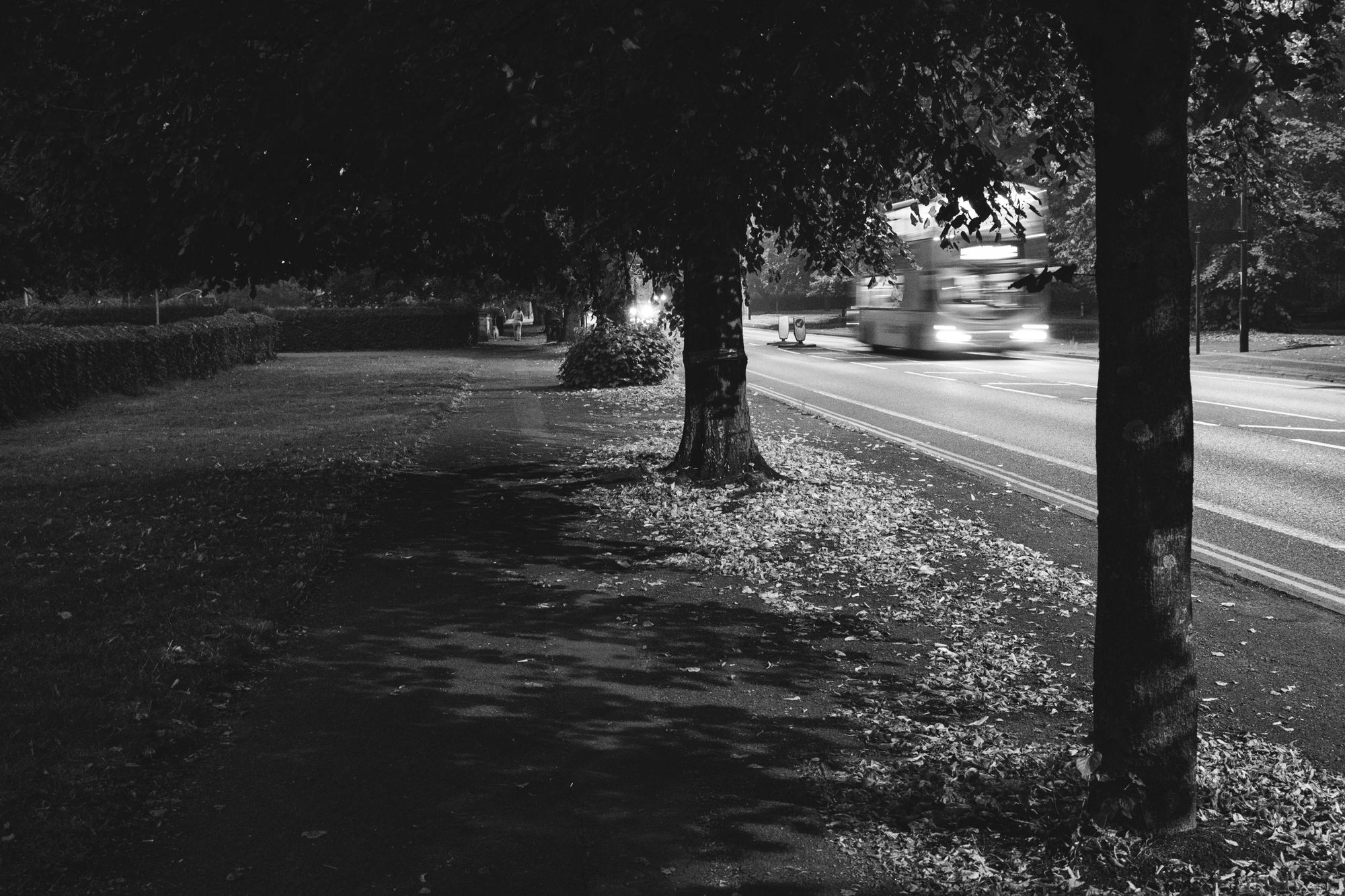 The silent city