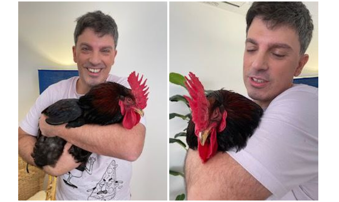 man holding large, chill rooster