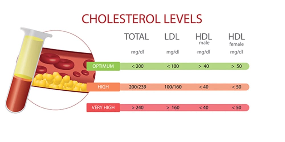 The Cholesterol Hoax