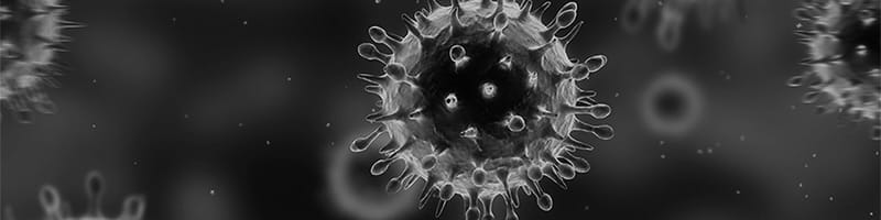 Virology Exposed | Evidence No Viruses Exist