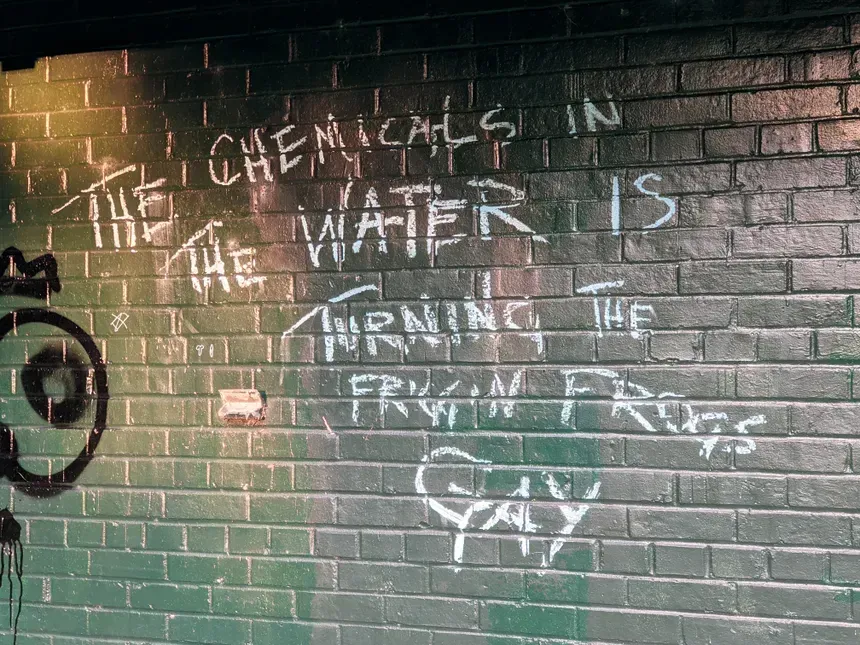 Chemical Agents in Water and Food Supply Feminize Human Population
