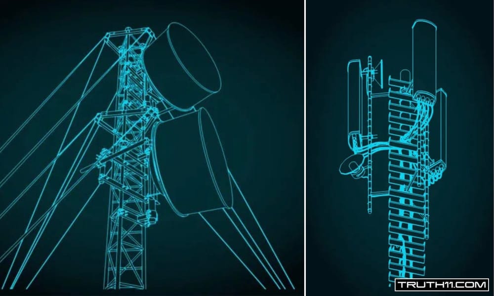 Detoxification & Treatment For Targeted Individuals