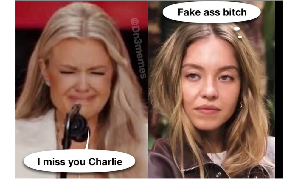 Images + Memes • 530