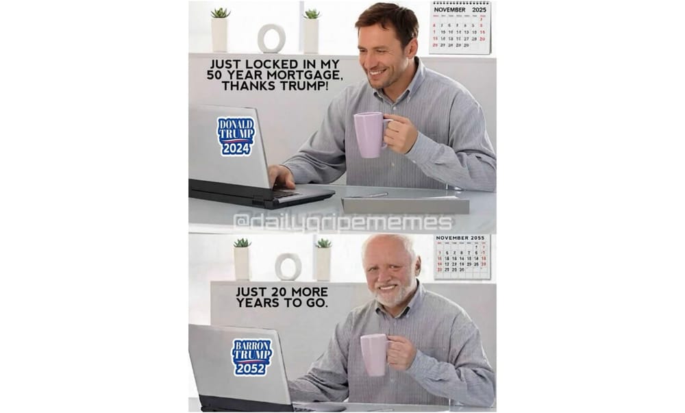 Images + Memes • 531