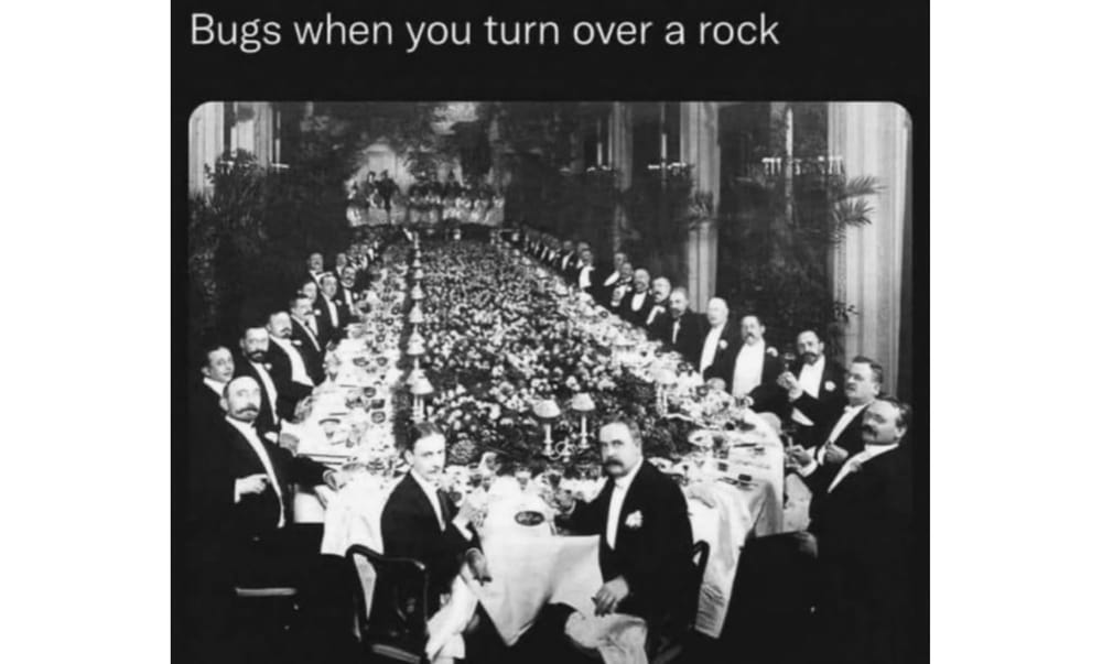 The 'Elite' Who Governs Us