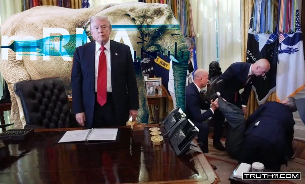 Images + Memes • 528