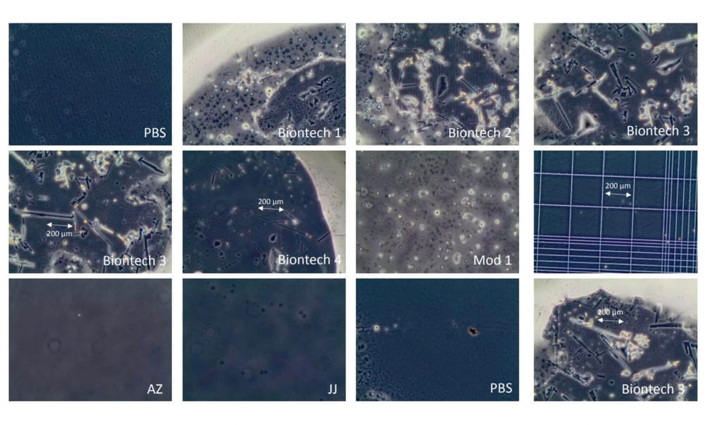 You Can't Find What You Are Not Looking For