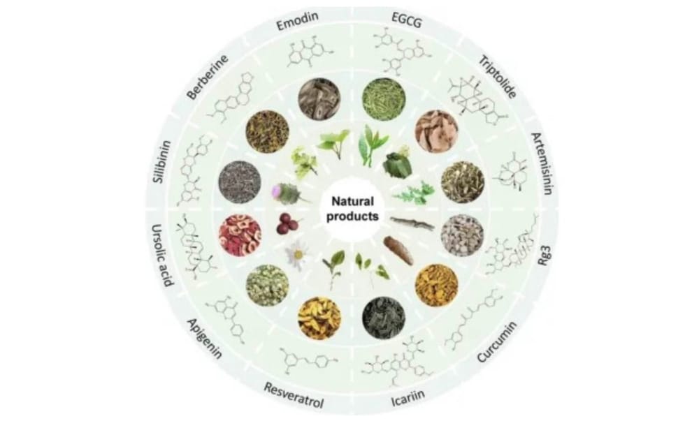 Over 1,100 Peer-Reviewed Studies Document The Anti-Cancer Potential of Safe, Non-Toxic Natural Compounds