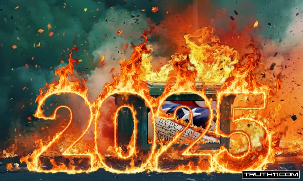 2025 | The Year the Government Stopped Pretending It Cared About Freedom