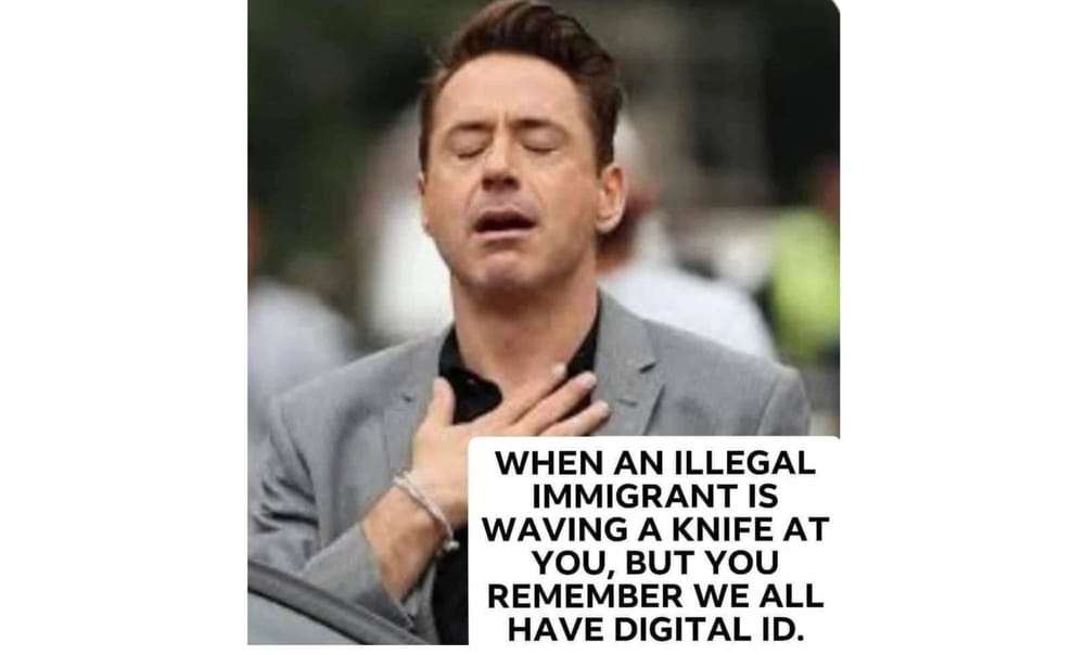 Images + Memes • 584