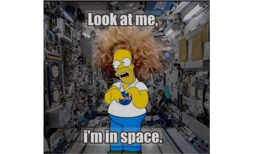 Images + Memes • 635