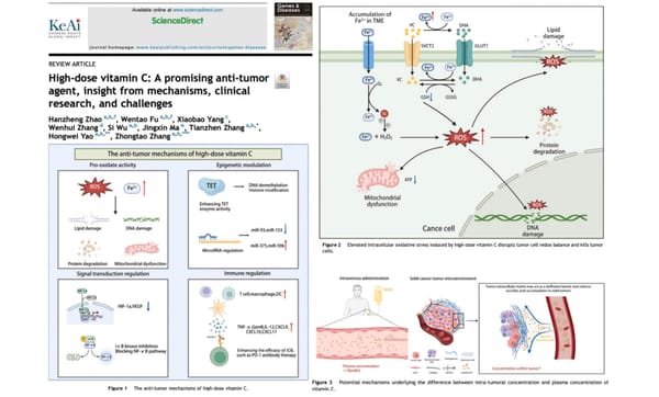 High-Dose Vitamin C | Anti-Cancer Agent