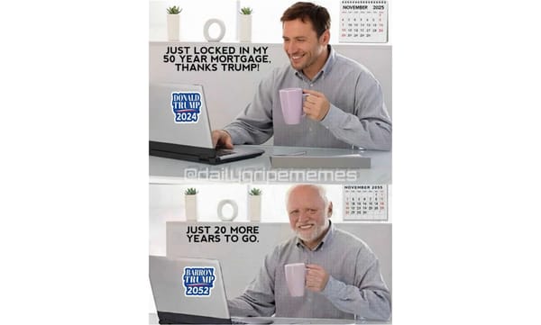 Images + Memes • 531