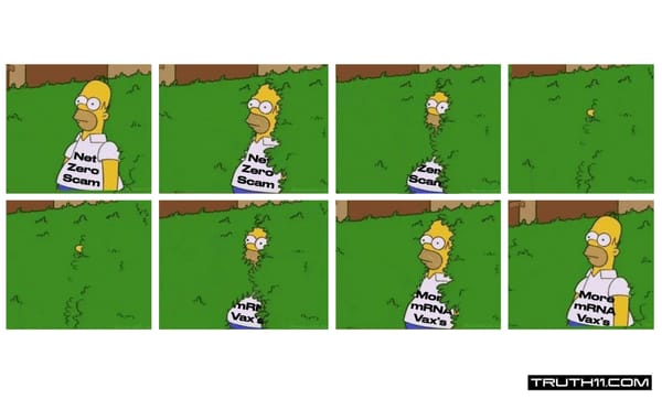 The Climate Scam Is Being Abandoned | Focus Shifts To More Vaccines