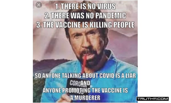 Why Have So Few Doctors Told The Truth About The Covid Hoax + The Deadly Covid Injections?