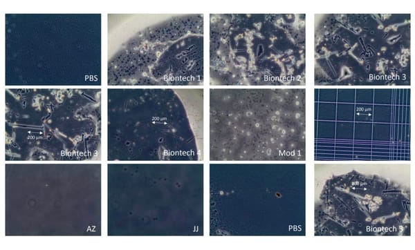 You Can't Find What You Are Not Looking For