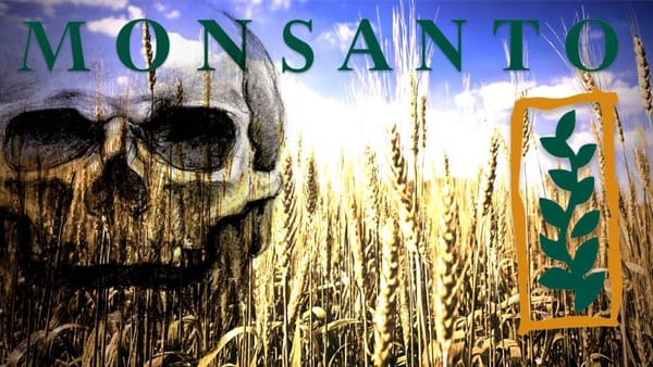 The Roundup Deception: How Monsanto Helped Write the ‘Science’ That Claimed its Weedkiller Was Safe