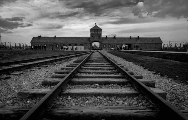 The Real Name Of ICE ‘Detention Camps’ | Concentration Camps