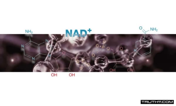 Nicotinamide Adenine Dinucleotide (NAD+) | Reverses Alzheimer’s Disease Progression