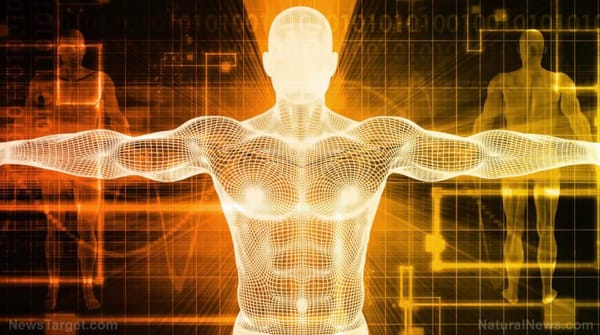 The Benefits Of Urine Therapy  | A Sophisticated Signalling System For The Body