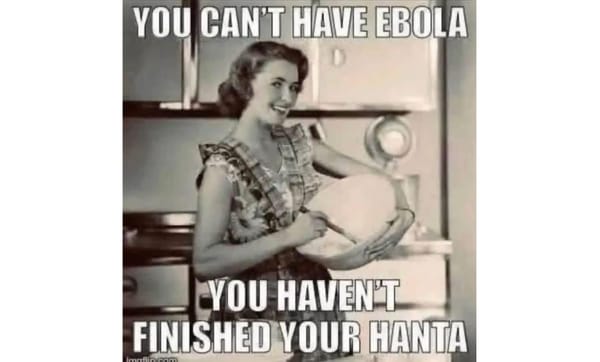 Ebola Madness