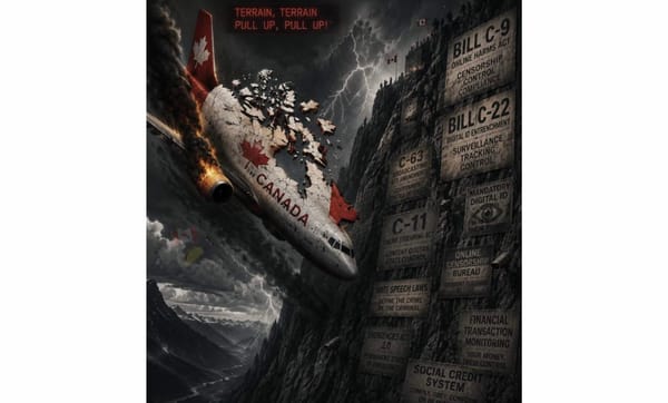 The Controlled Demolition Of Canada | Why Many Are Leaving