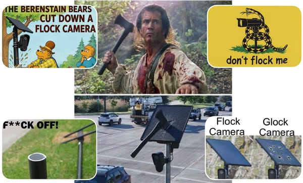 Americans Destroying Flock Cameras in Protest