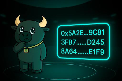 What Is a Crypto Wallet Address and Why 90% of Users Use It Wrong.