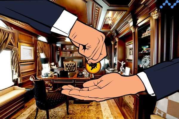 Which Altcoin will Make me a Millionaire?