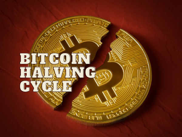 Bitcoin Halving Cycle - Making Millionaires