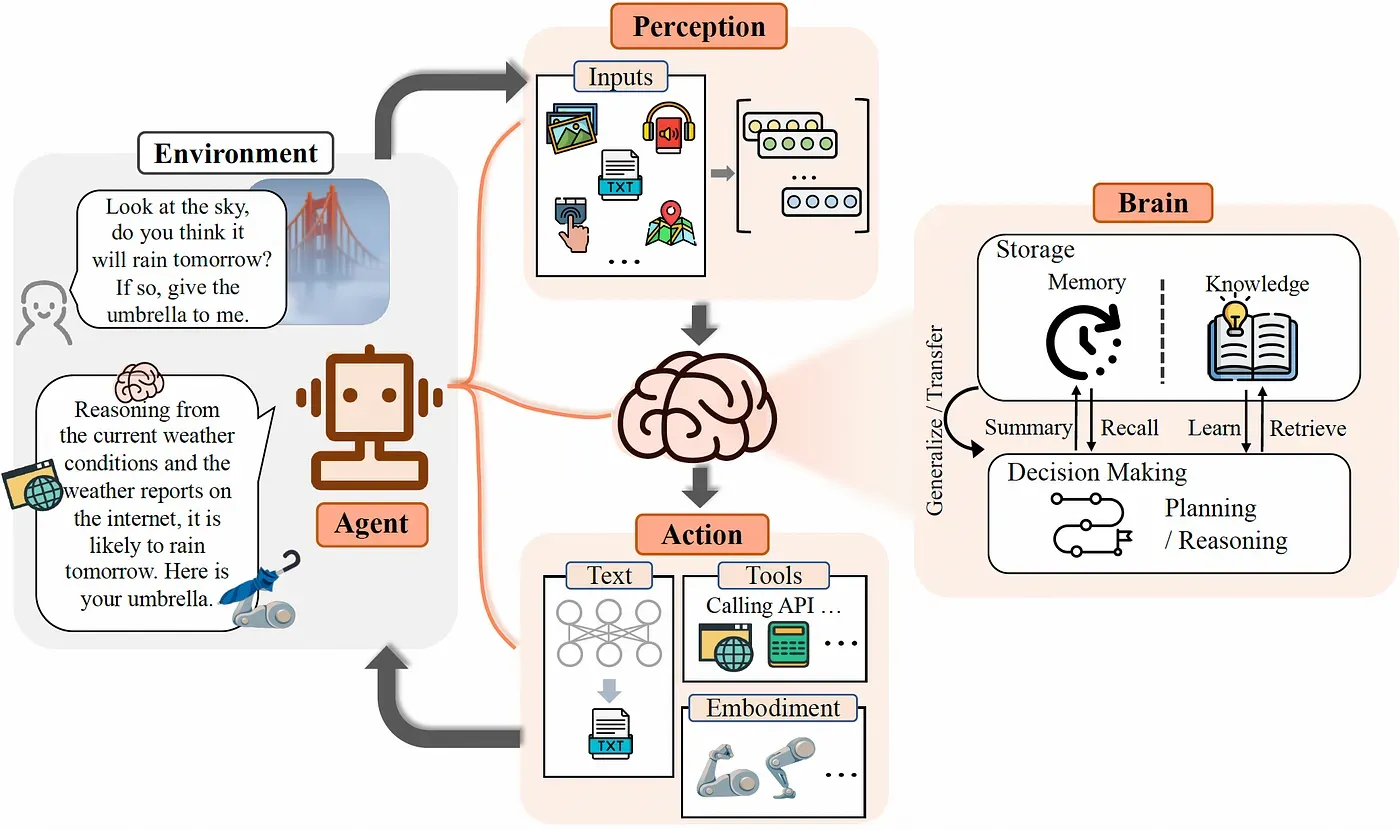 Conceptual framework of LLM-based agent with three components: brain, perception, and action. Serving as the controller, the brain module undertakes basic tasks like memorizing, thinking, and decision-making. The perception module perceives and processes multimodal information from the external environment, and the action module carries out the execution using tools and influences the surroundings. Here we give an example to illustrate the workflow: When a human asks whether it will rain, the perception module converts the instruction into an understandable representation for LLMs. Then the brain module begins to reason according to the current weather and the weather reports on the internet. Finally, the action module responds and hands the umbrella to the human. By repeating the above process, an agent can continuously get feedback and interact with the environment.