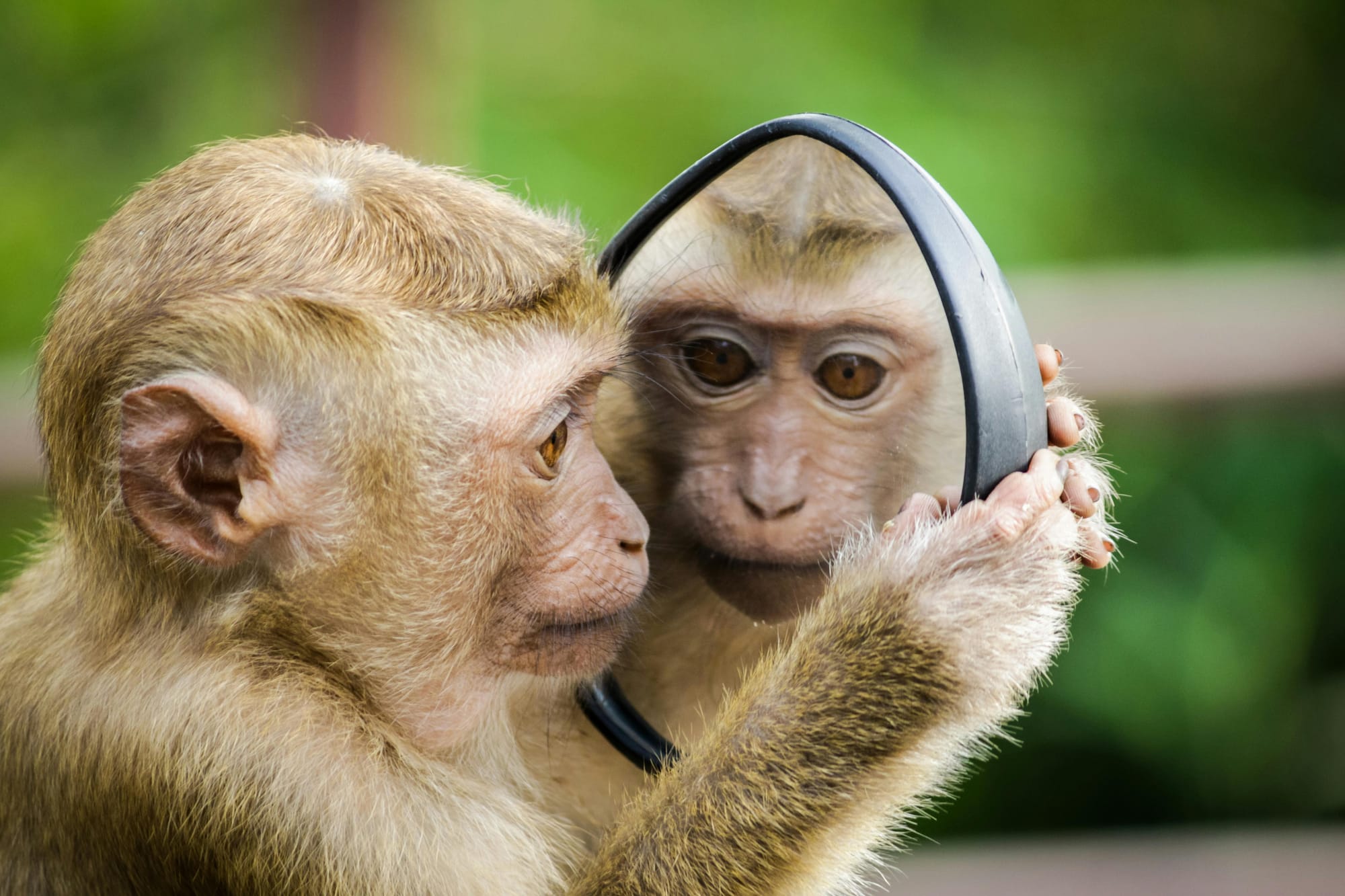 Building a Personal Chatbot: Bringing Your AI Self to Life