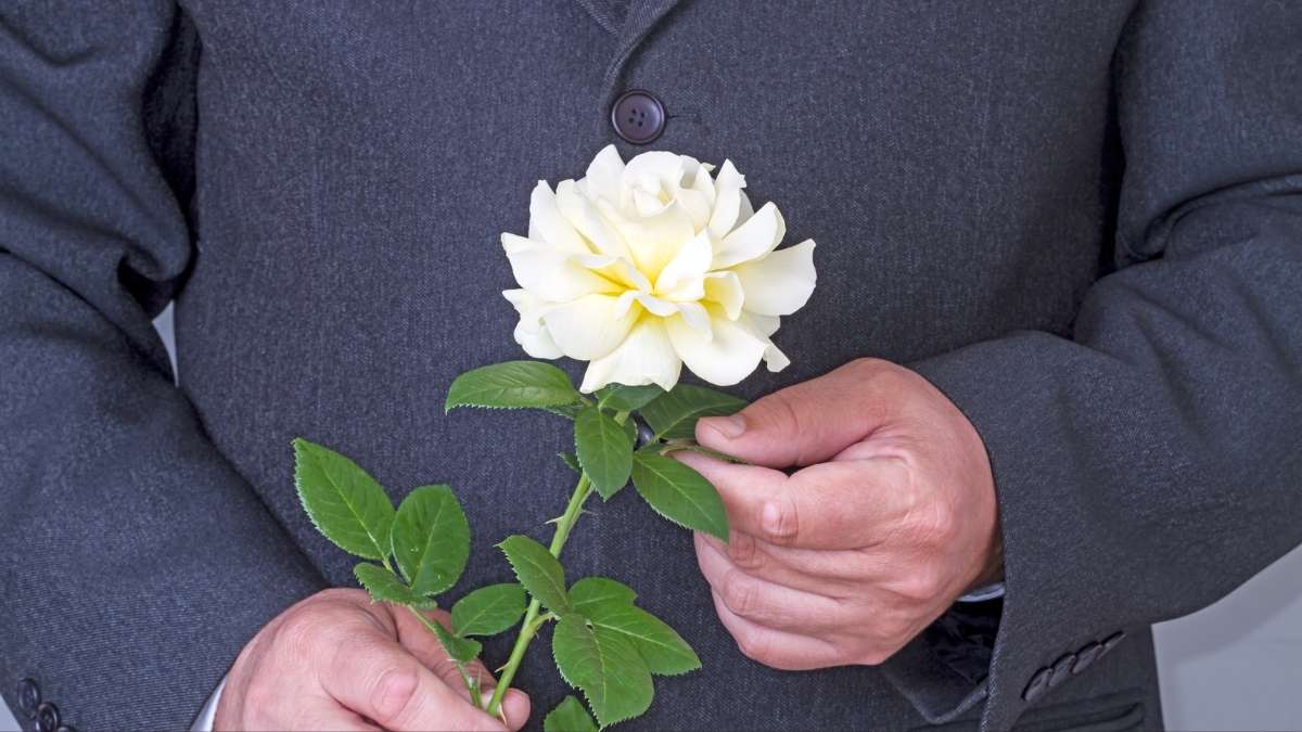 A male escort client wearing a suit and holding a carnation.
