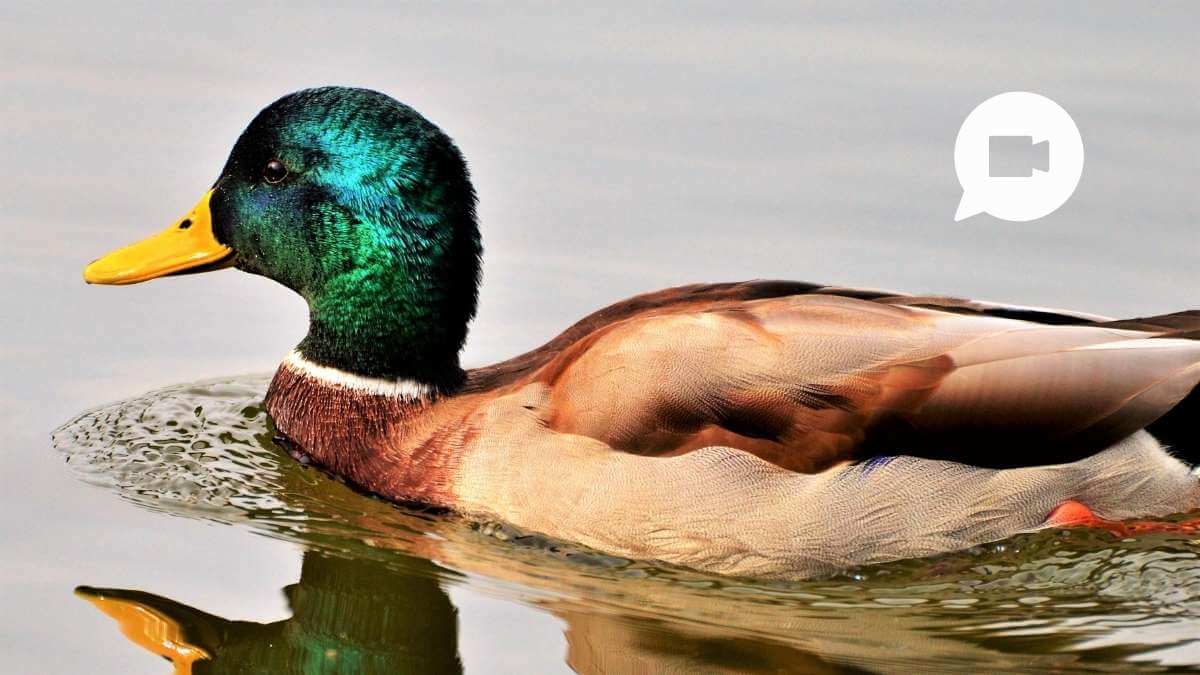 Member update, Janury 2022: Rejection-proofing.