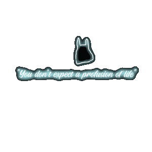 "You don't expect a profusion of life"