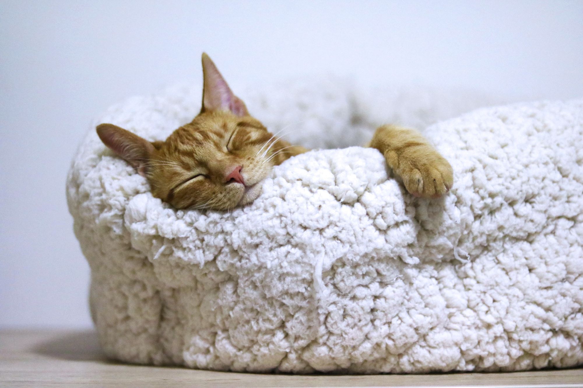 Winter is for resting...