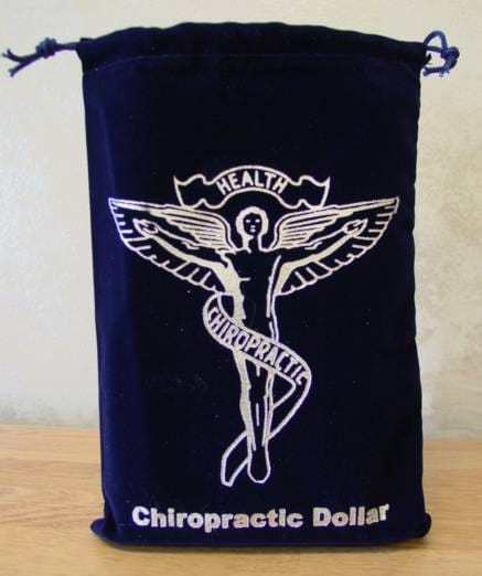 Chiropractic Dollar blue velvet bag