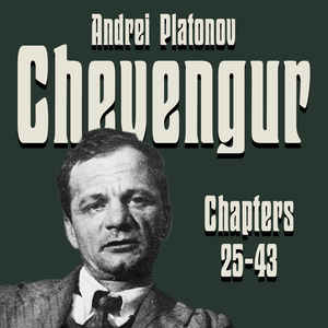 Chevengur by Andrei Platonov, Chapters 25-43
