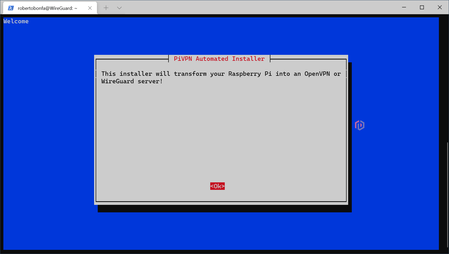 Server VPN - PiVPN - WireGuard