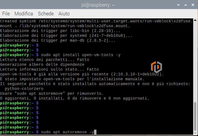 Come installare i VMware tools su Raspberry Pi OS