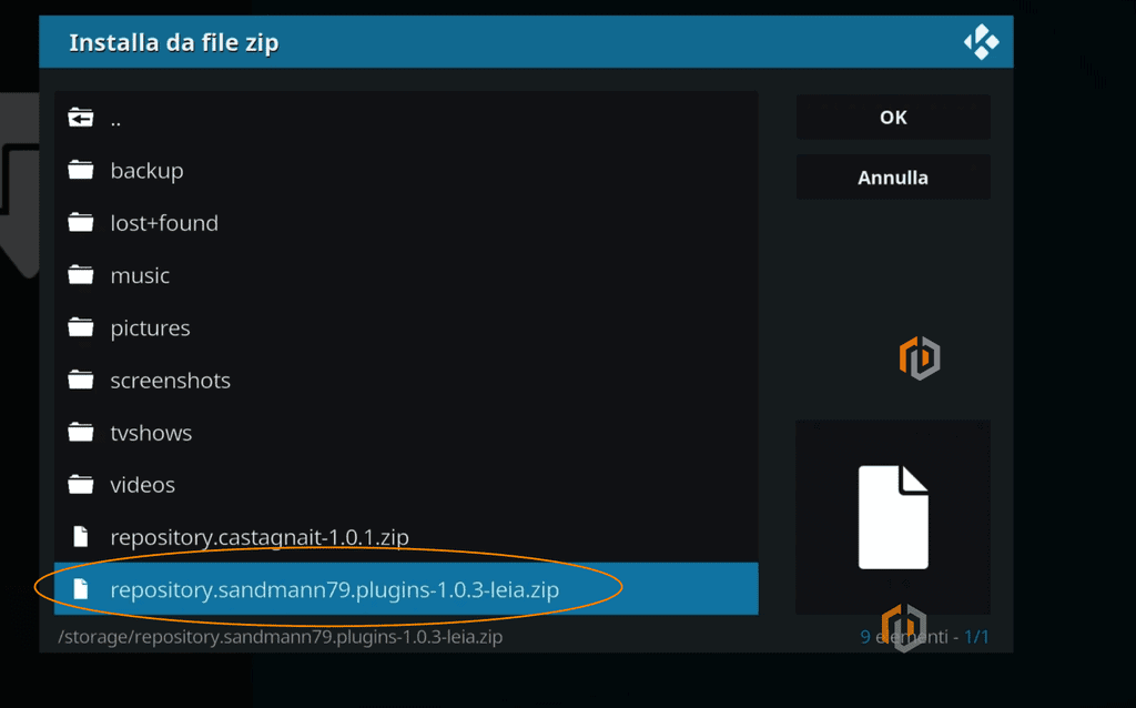 Netflix su Raspberry