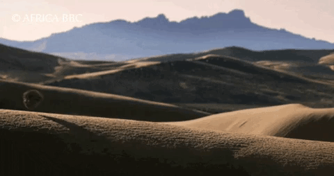 There's a difference between dessert and desert.