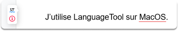 Capture d'écran du type d'erreurs détectées par l'extension LanguageTool sur Safari