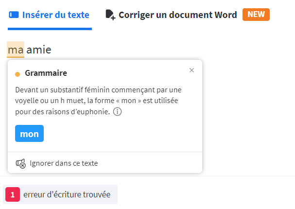 Capture d’écran d’une erreur détectée par le logiciel LanguageTool.
