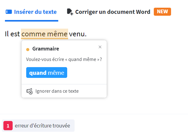 Capture d’écran d’une erreur détectée par LanguageTool.