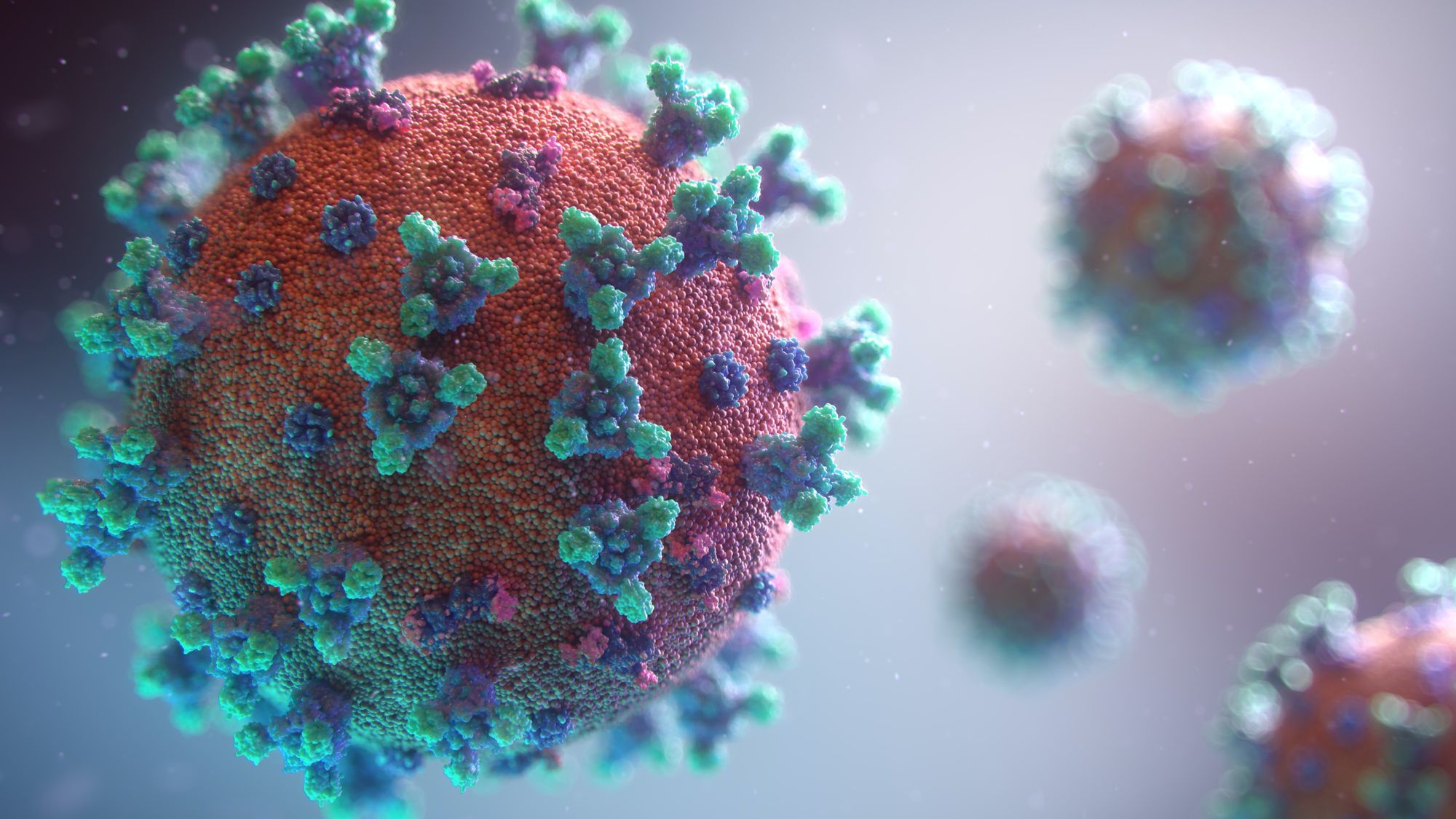 Photo d’un virus pour illustrer l’émergence de nouveaux mots français issus du milieu médical ou scientifique.