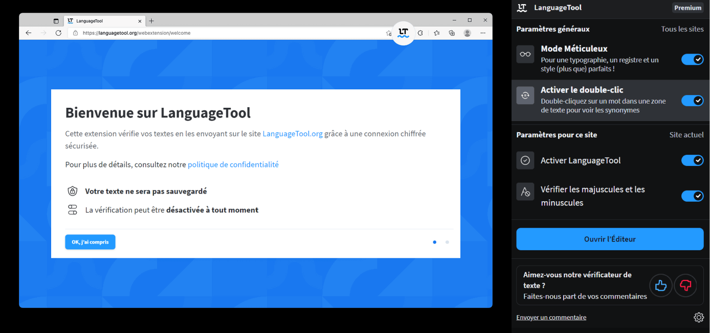 Aperçu des paramètres dans LanguageTool pour passer en mode Sombre