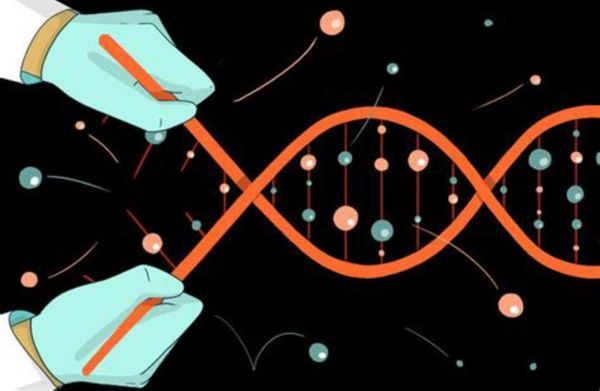 Yikes: The Brave New World of Genetically Modified People