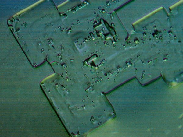 EVAPORATED SAMPLE OF THE PFIZER INJECTABLE