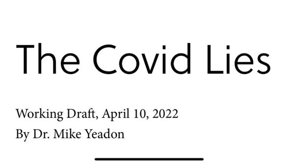 The Covid Lies